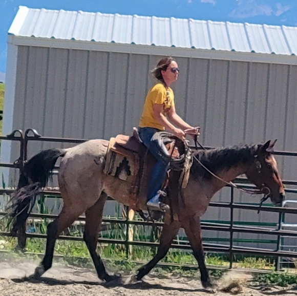 Meet your Posher, Bri - Picture 3 of 3